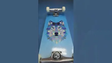 HUDORA Skateboard Wolf Instinct ABEC 1
